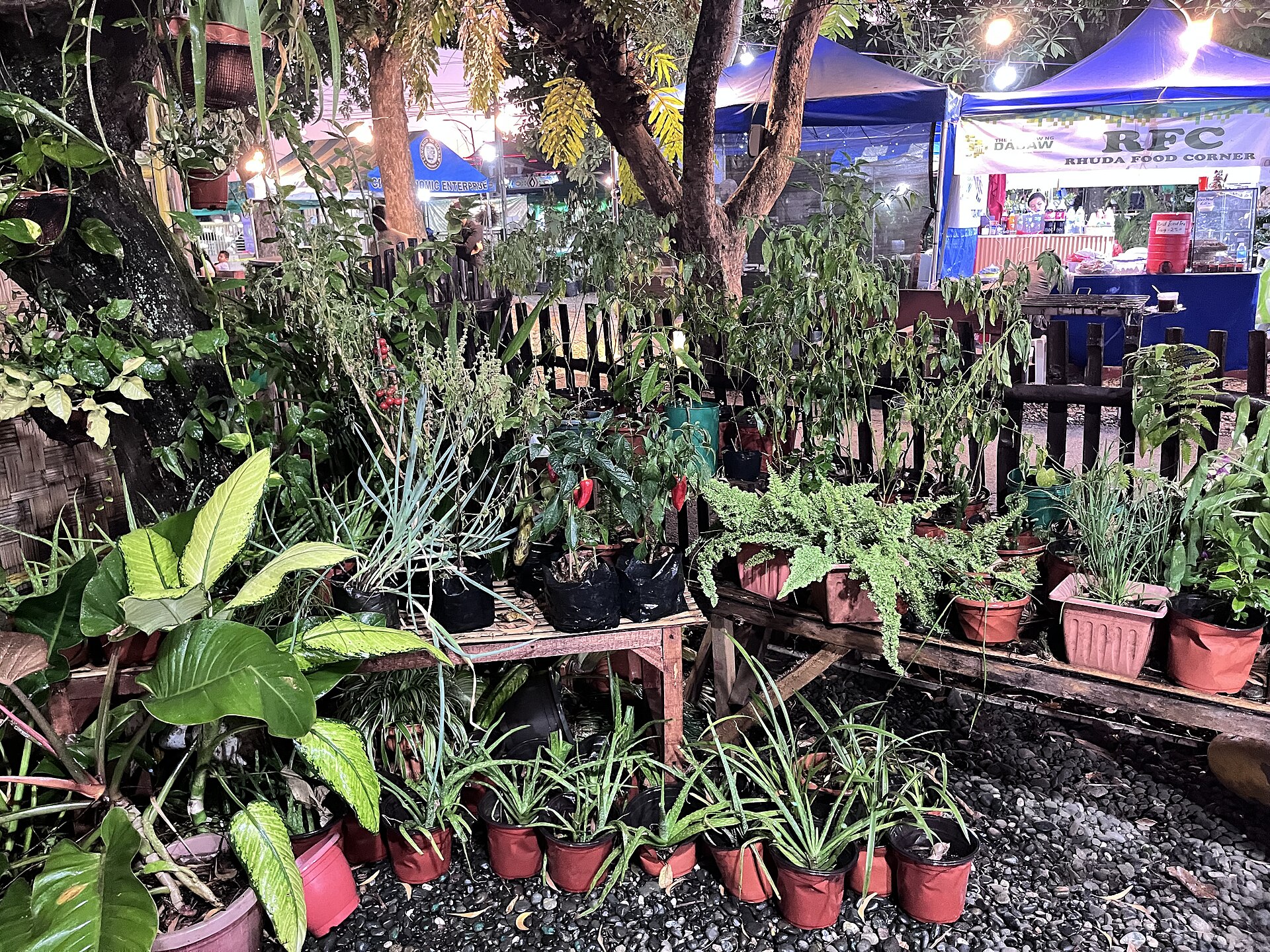 羞羞视频在线视频都市情感